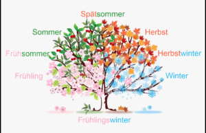 Der Baum der acht Jahreszeiten mit seinen vier Jahreszeiten und Übergangsjahreszeiten