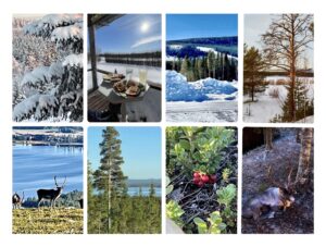 Von dem Volk der Sami wird das Jahr in acht Jahreszeiten aufgeteilt, um sich dem Rhythmus der Natur besser anpassen zu können
